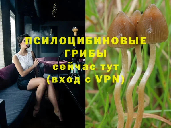 каннабис Михайловск