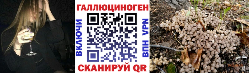 Галлюциногенные грибы Cubensis  Купить закладки  Чекалин 
